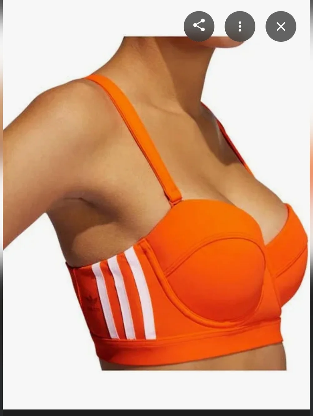 IVY PARK vibrant neon